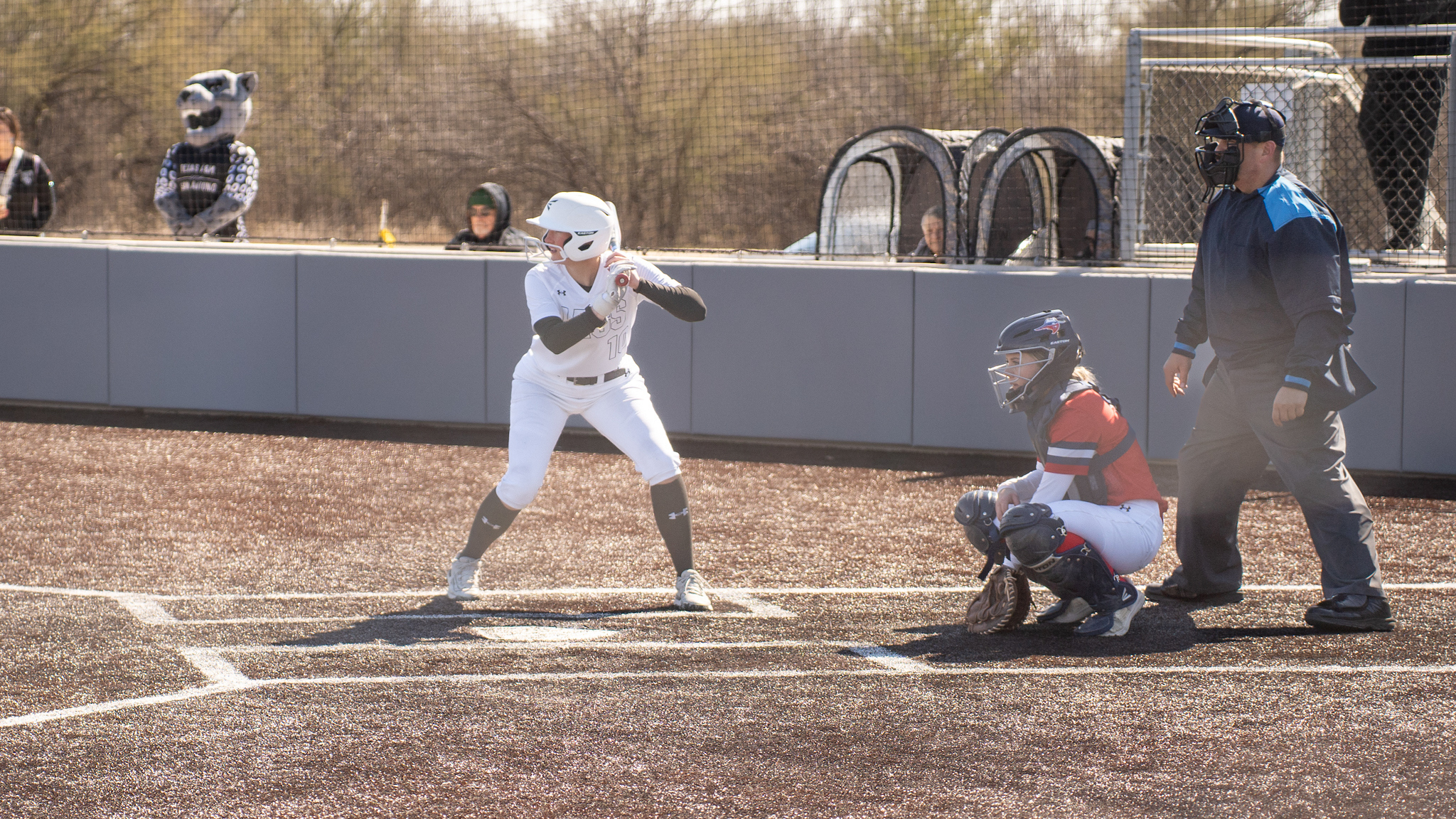 Softball batter ready to hit.
