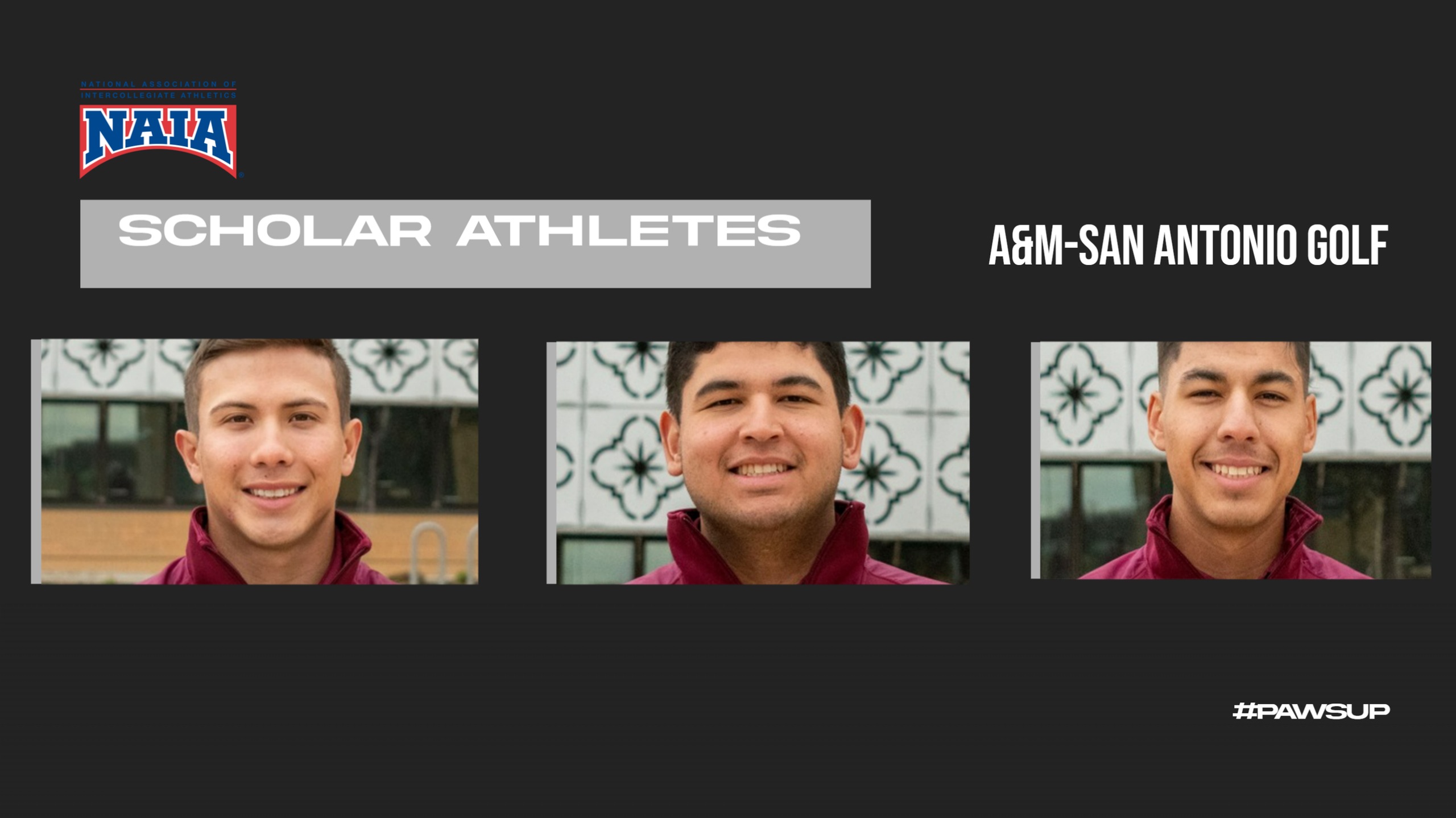 Men's Golf: NAIA Scholar Athletes Named